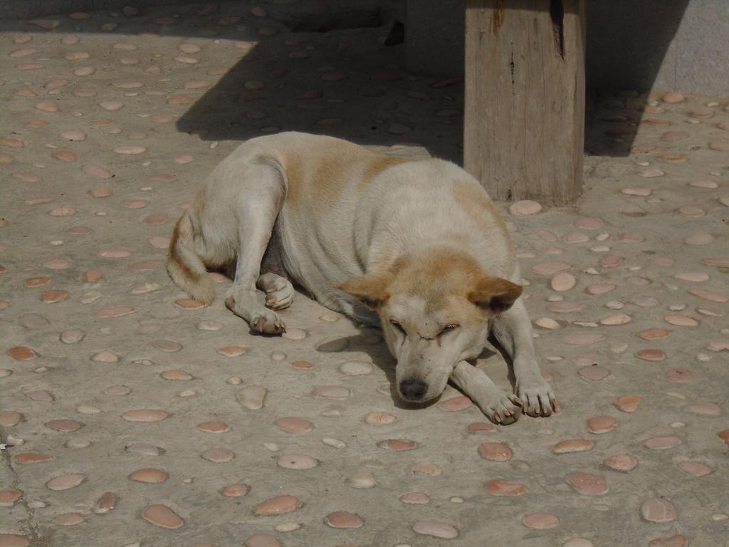 La Casa Homestay เซงกีกี ภายนอก รูปภาพ